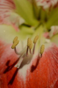 20140316DSC_9789